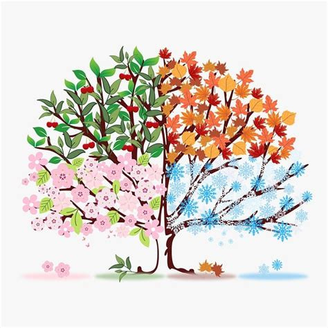 fühling_sommer_herbst_und_winter